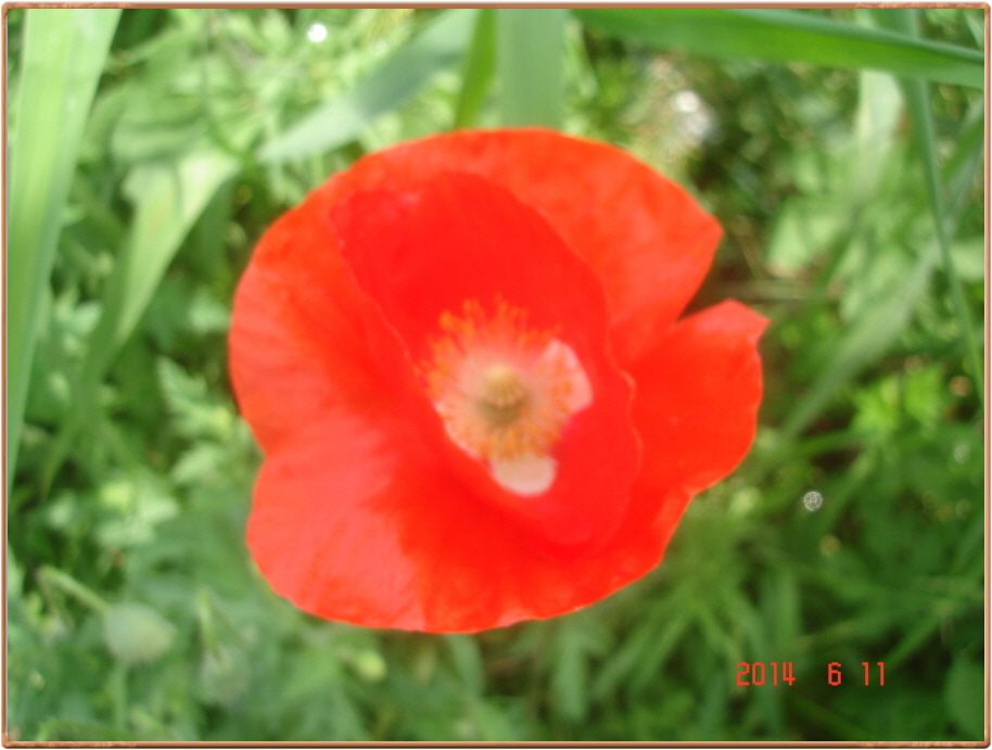603��ī 004.jpg