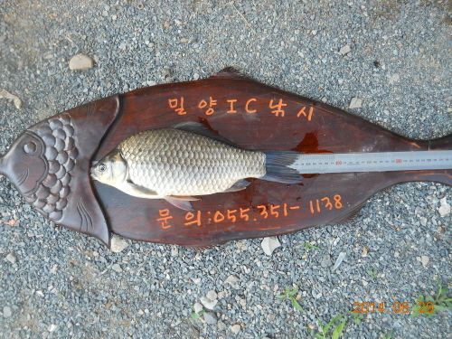ũ⺯ȯ_005 (1).JPG