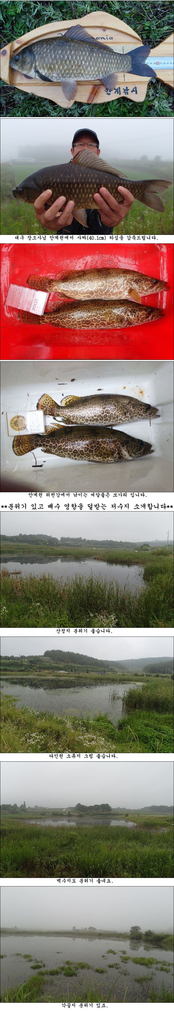 ����140703��.jpg
