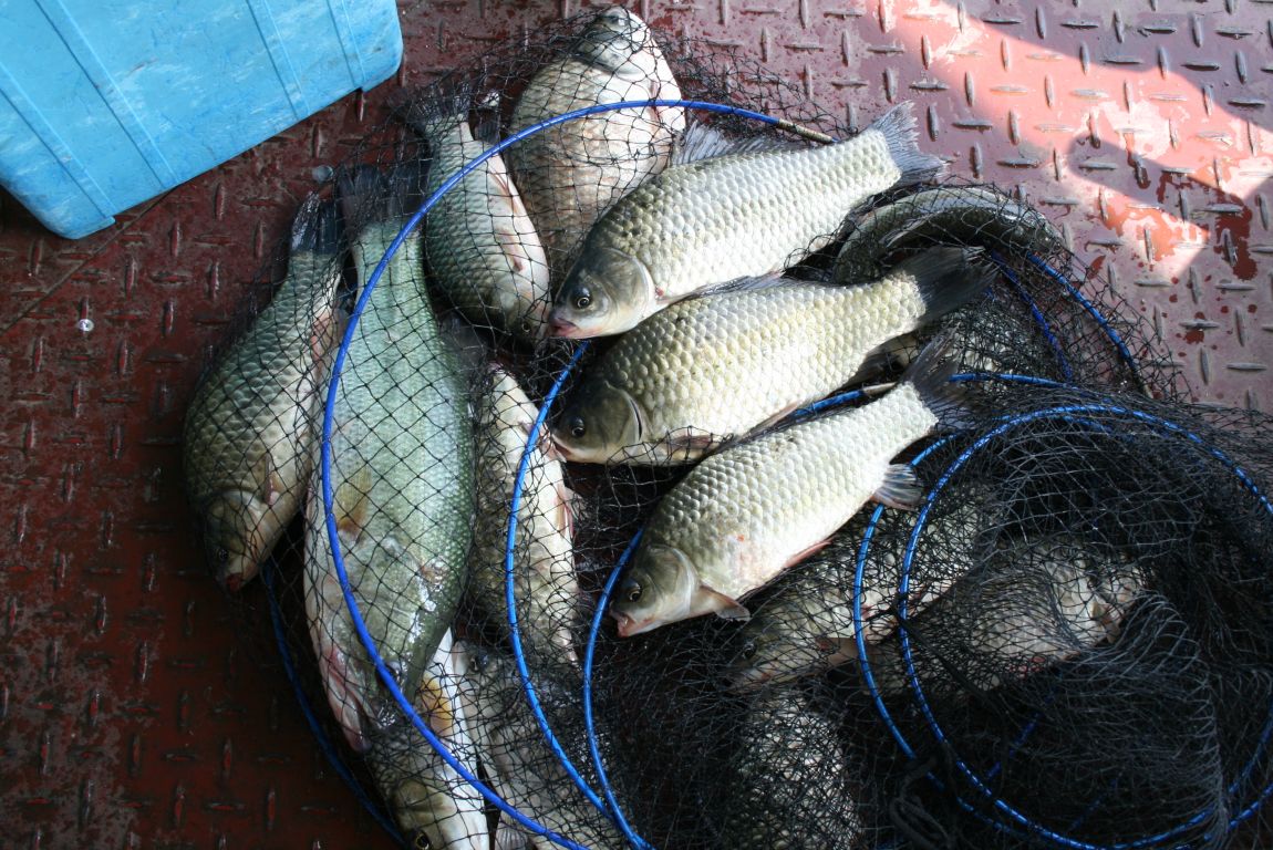 IMG_7187.JPG