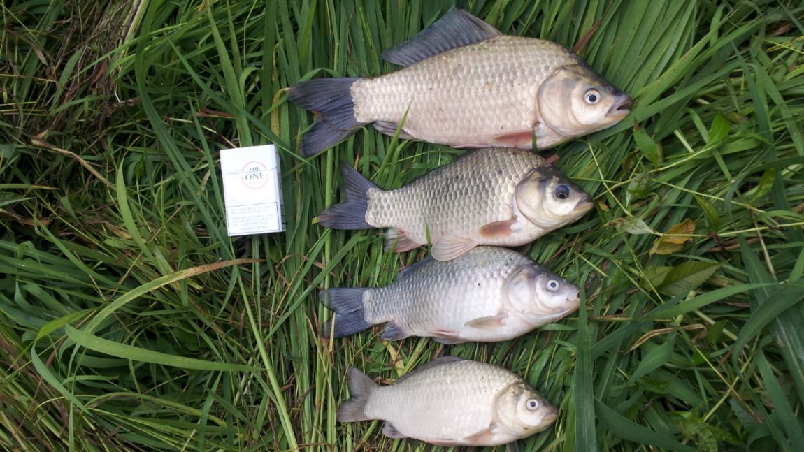 20140724_070547.jpg