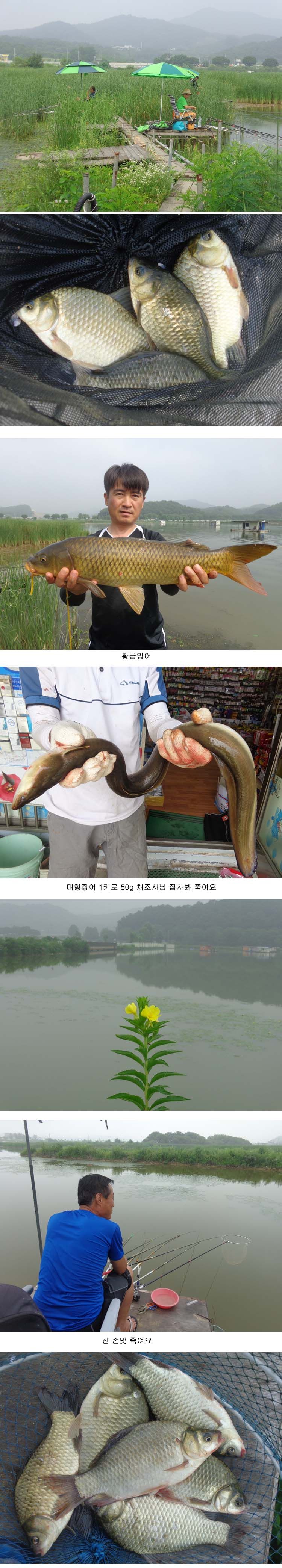 kkk1.jpg