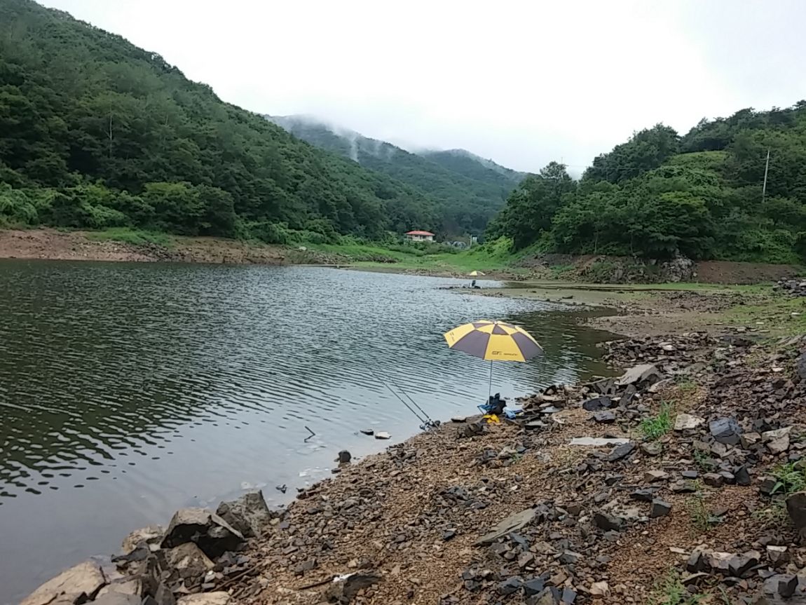 20140724_101033.jpg