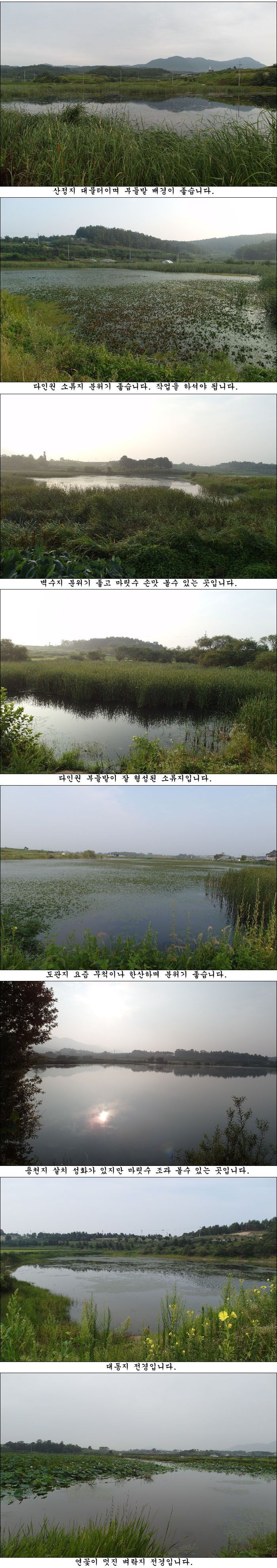����140731��.jpg