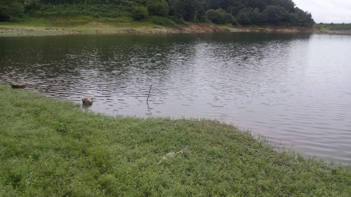 20140818_133618.jpg