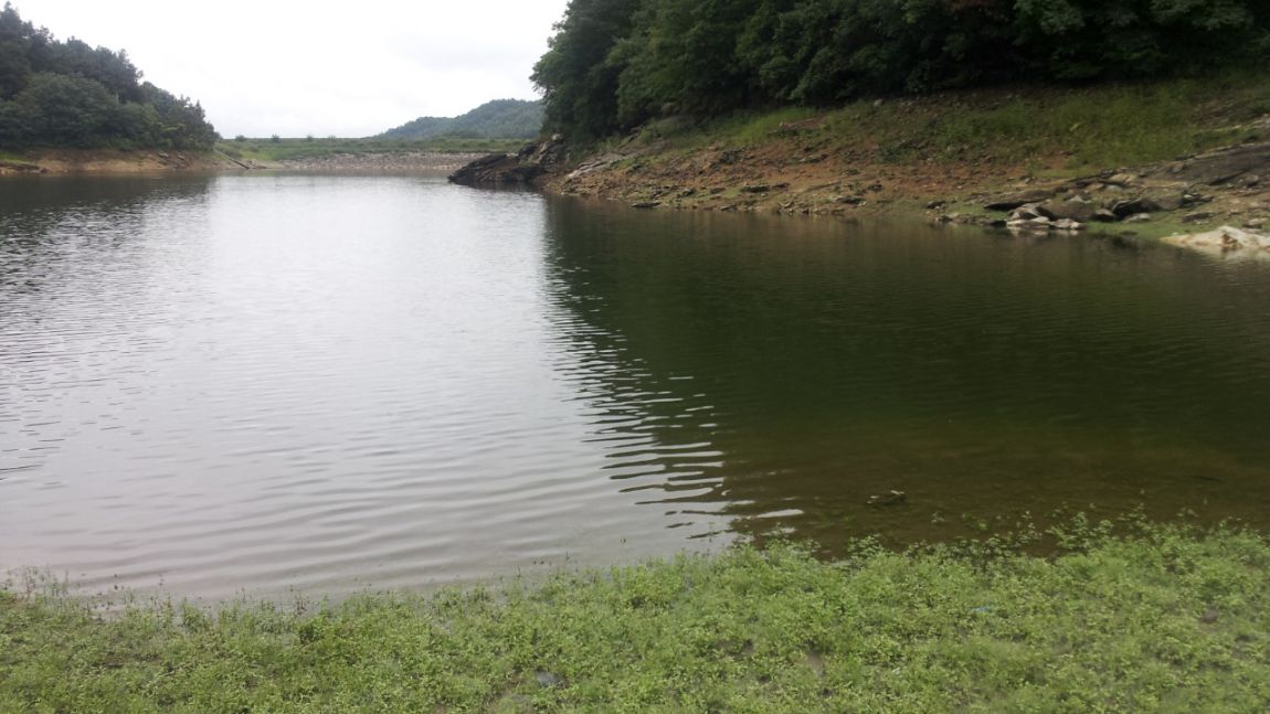 20140818_133631.jpg
