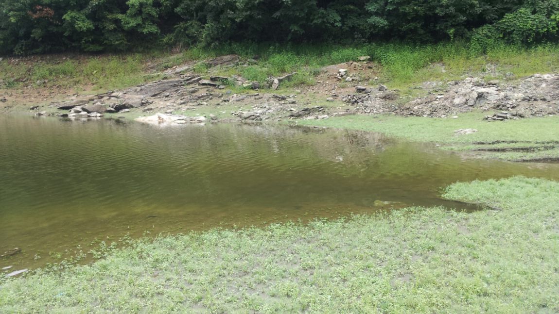 20140818_133635.jpg