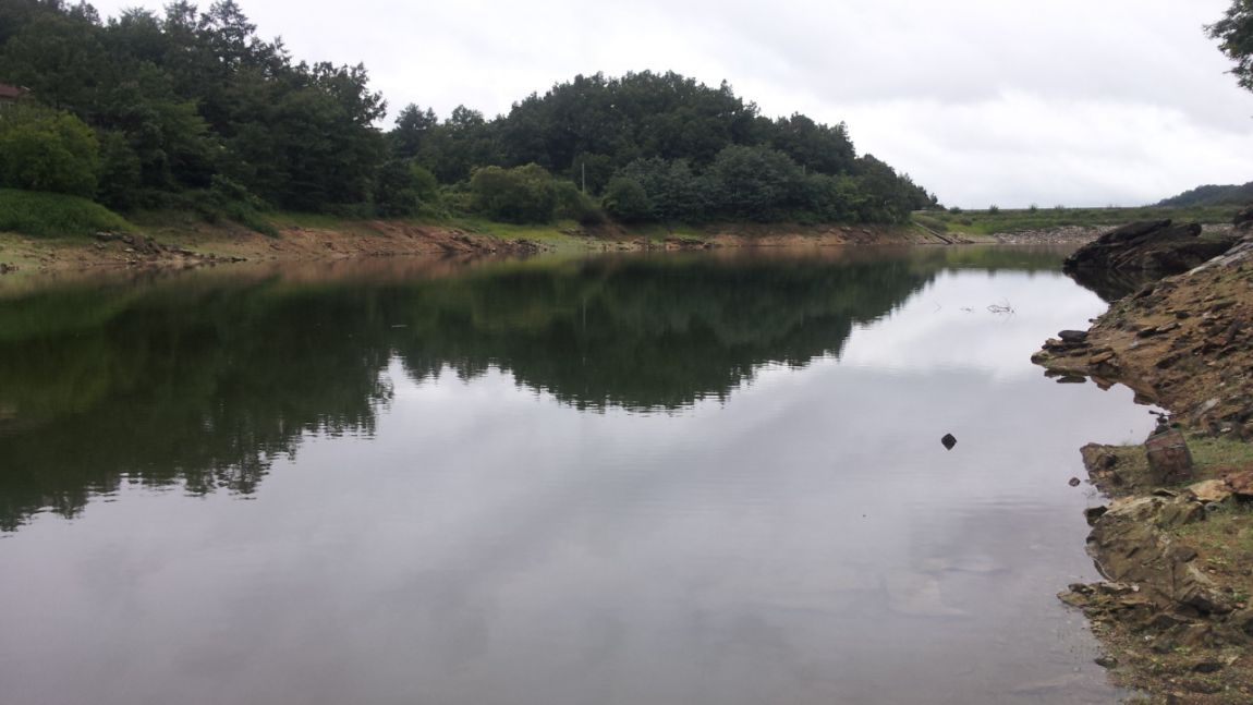 20140818_134153.jpg