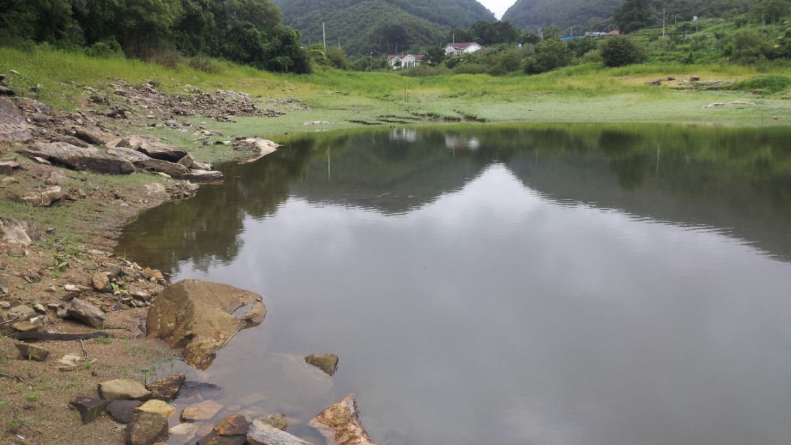 20140818_134203.jpg