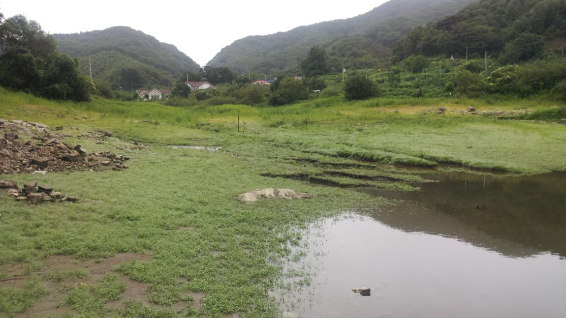20140818_205036.jpg