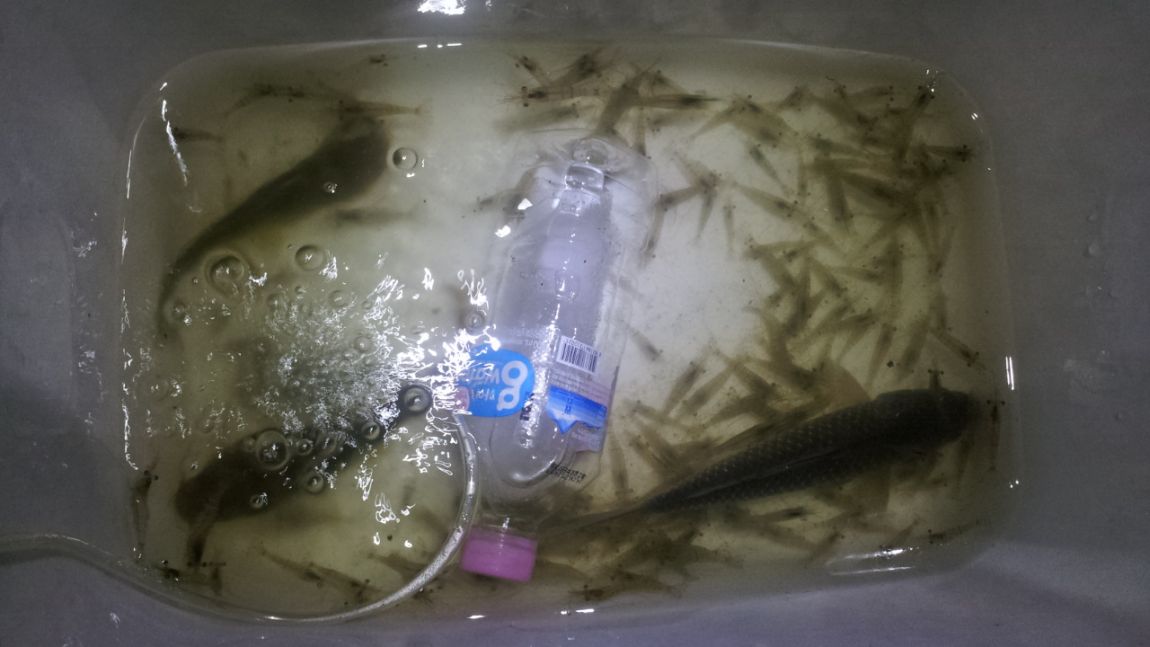 20140818_205036.jpg