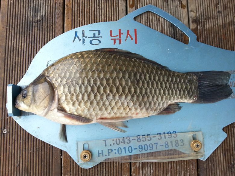 20140819_105619.jpg