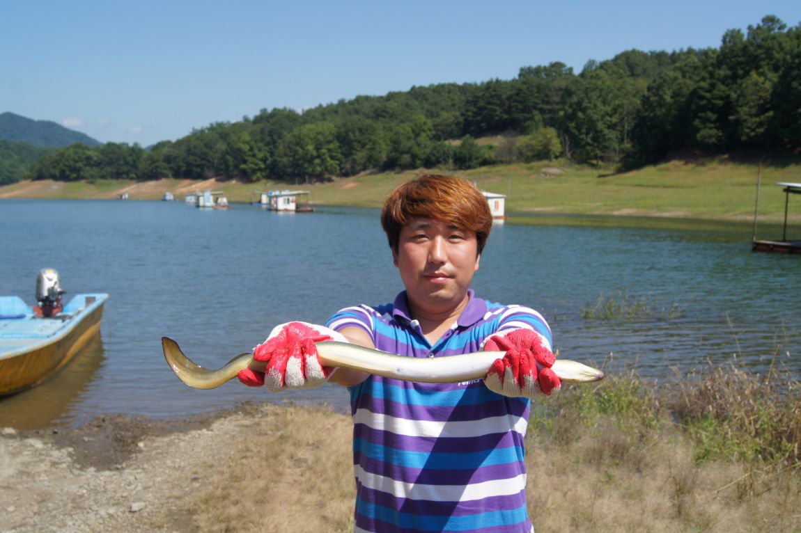DSC02911.JPG