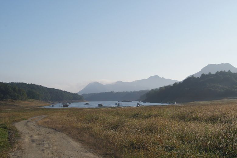 DSC02943.jpg