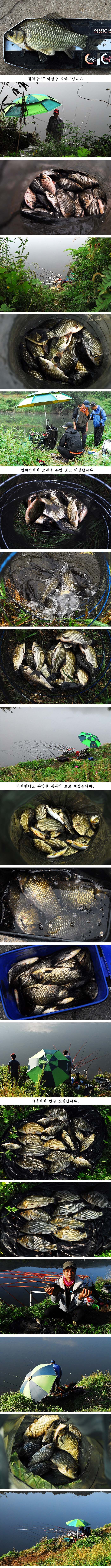 q2 �纻.jpg
