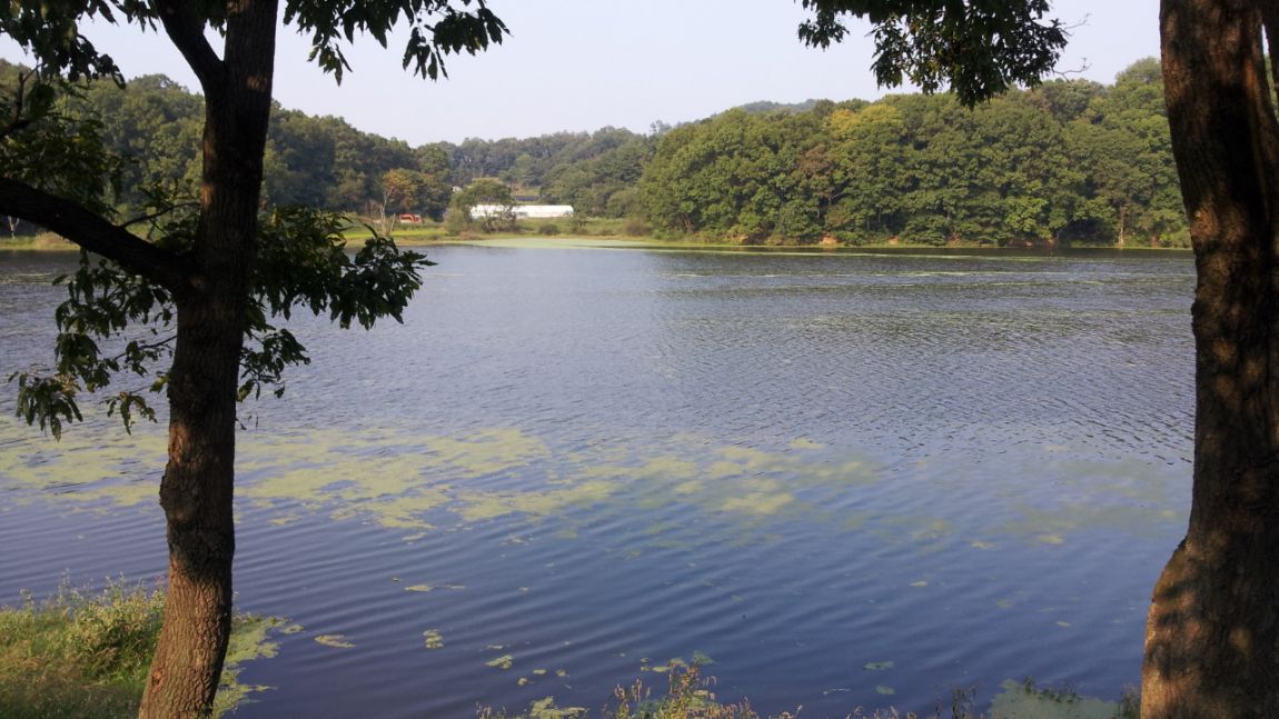 20140921_161428.jpg