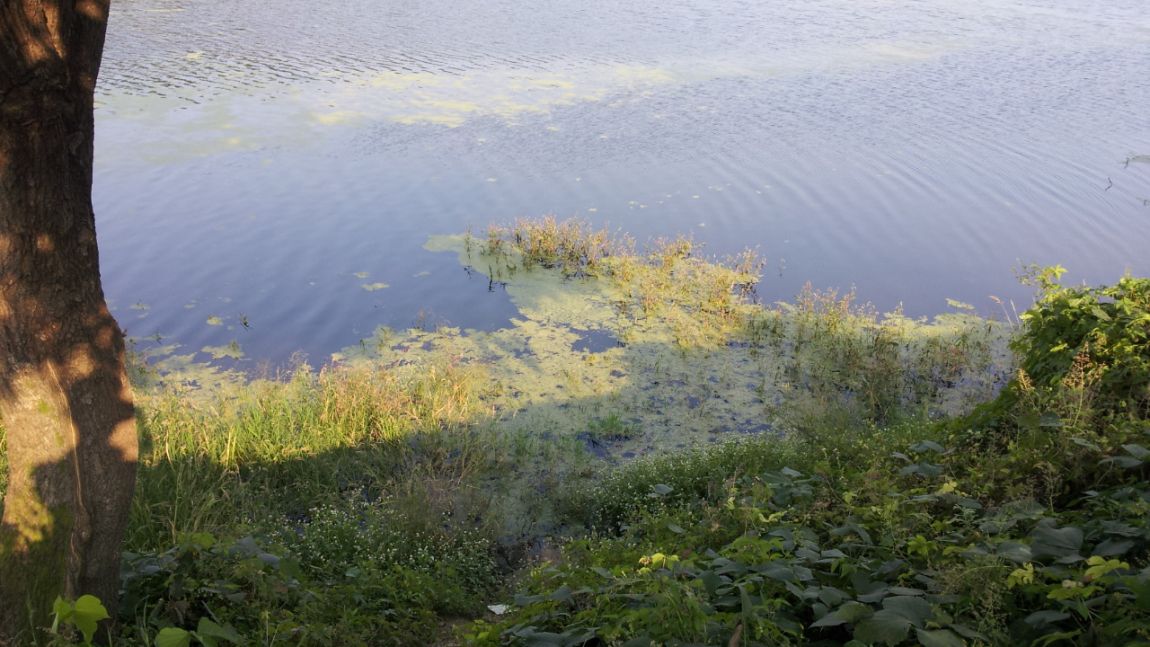 20140921_161434.jpg