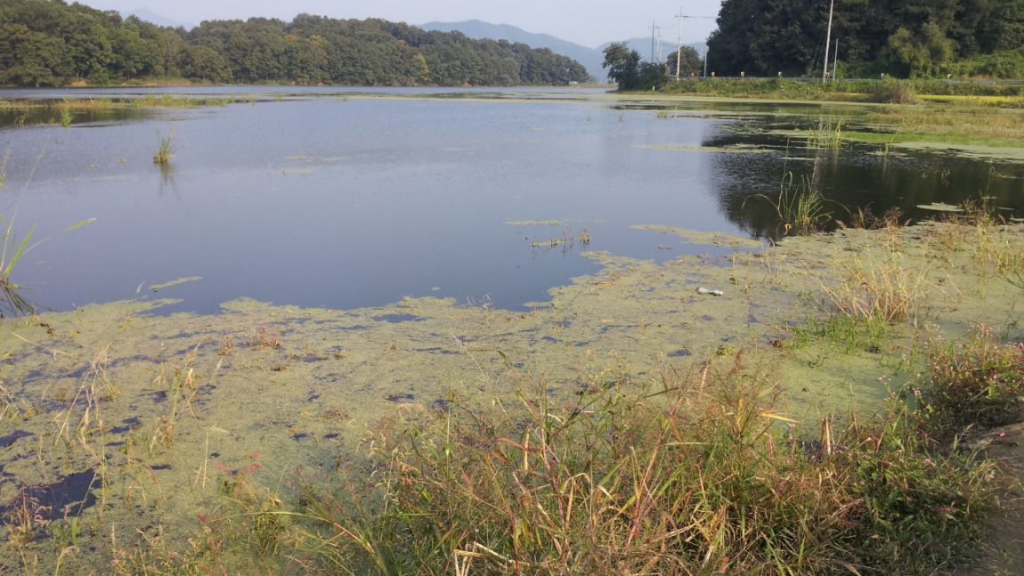 20140921_162131.jpg