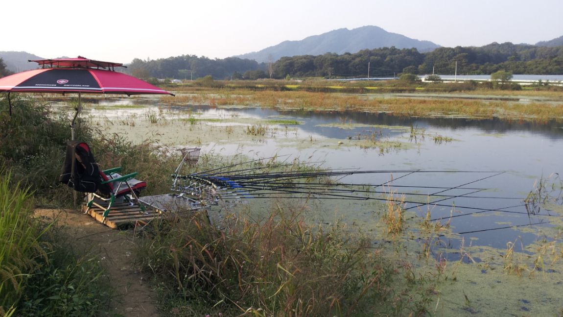 20140921_171301.jpg