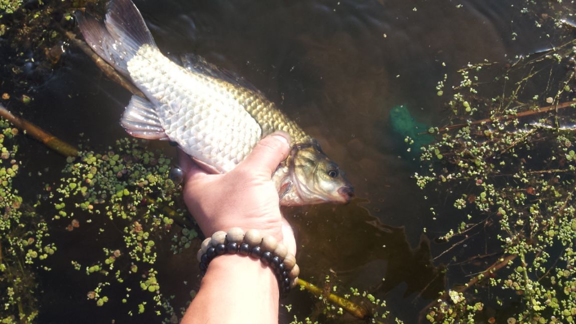 20140922_081931.jpg