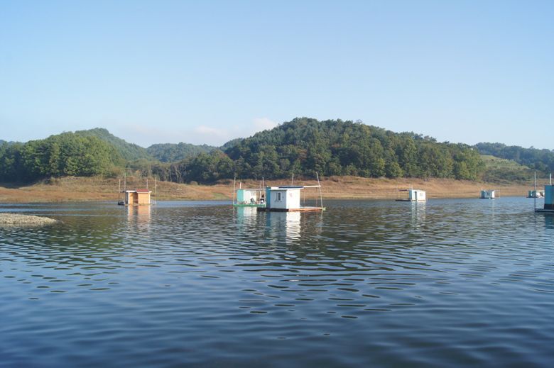 DSC03015.jpg