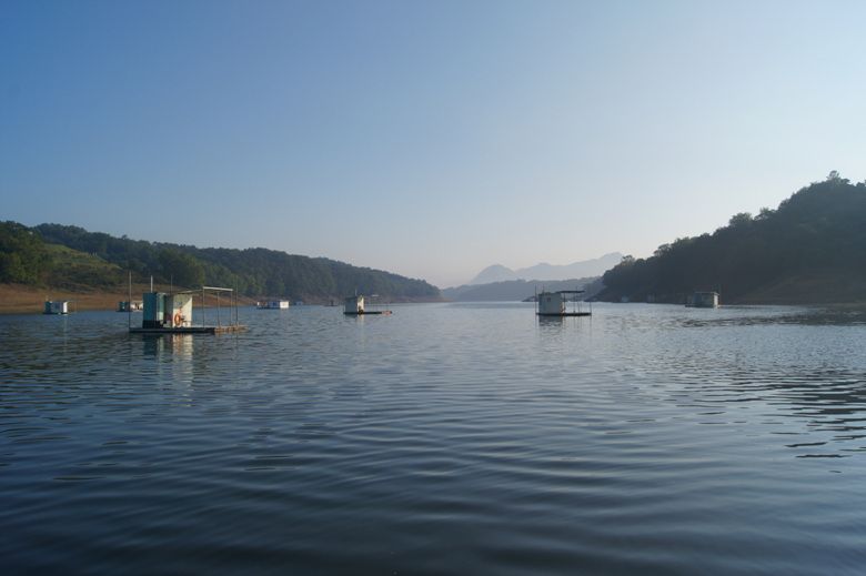 DSC03016.jpg