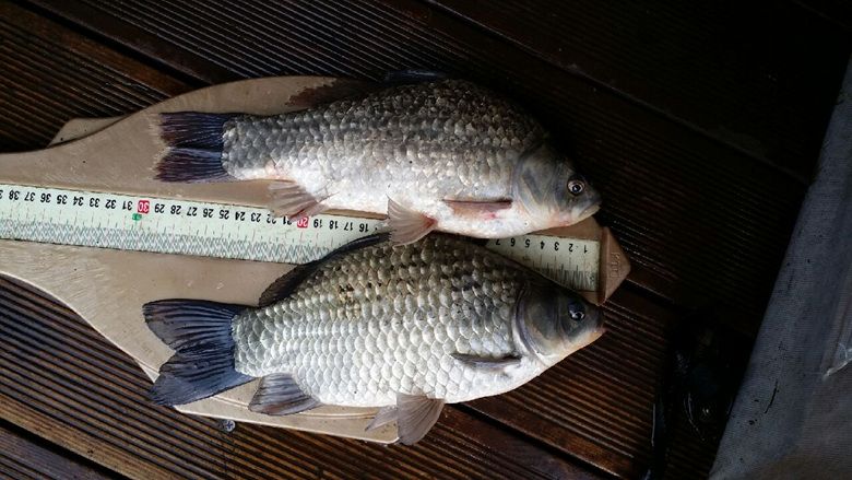 20141003_083438.jpg