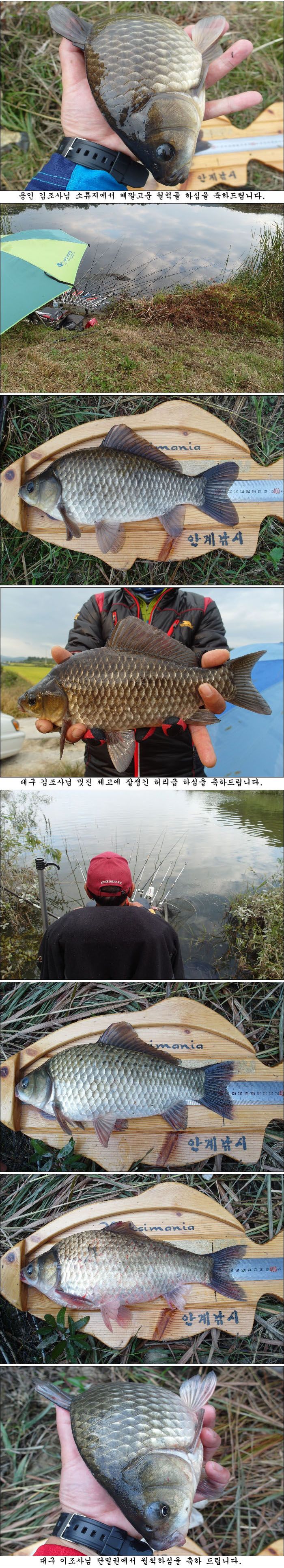 141008.jpg
