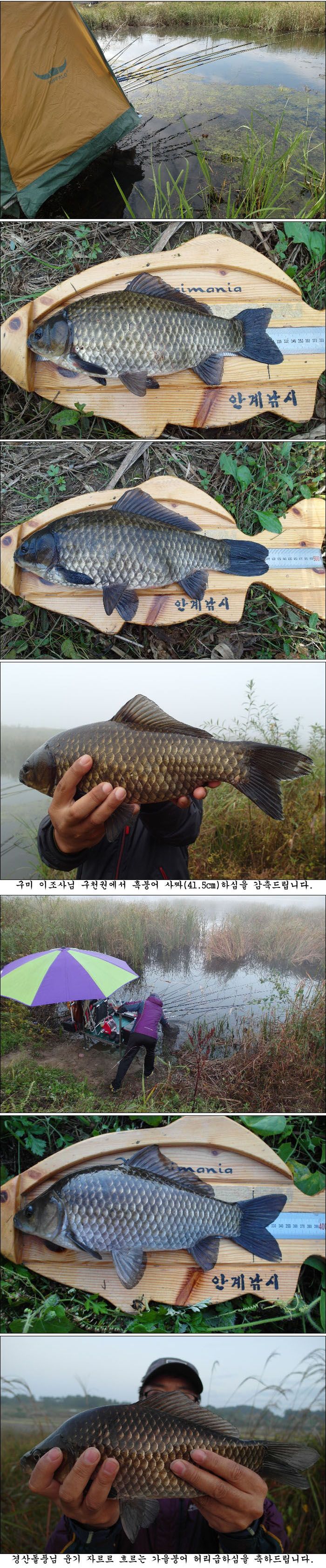 141008.jpg
