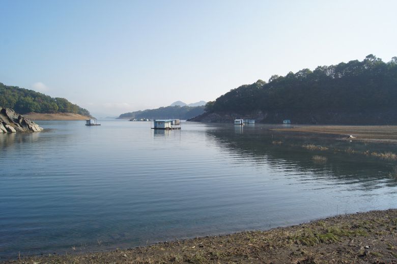 DSC03086.jpg