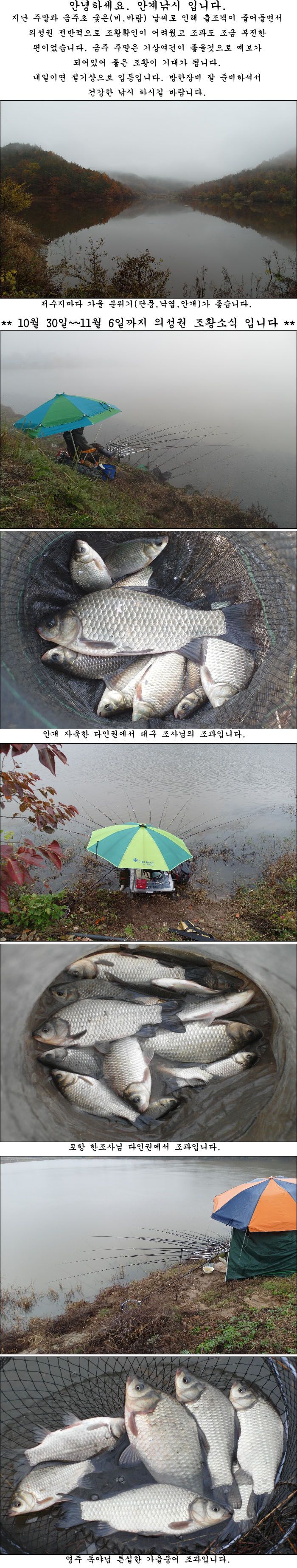 141106.jpg