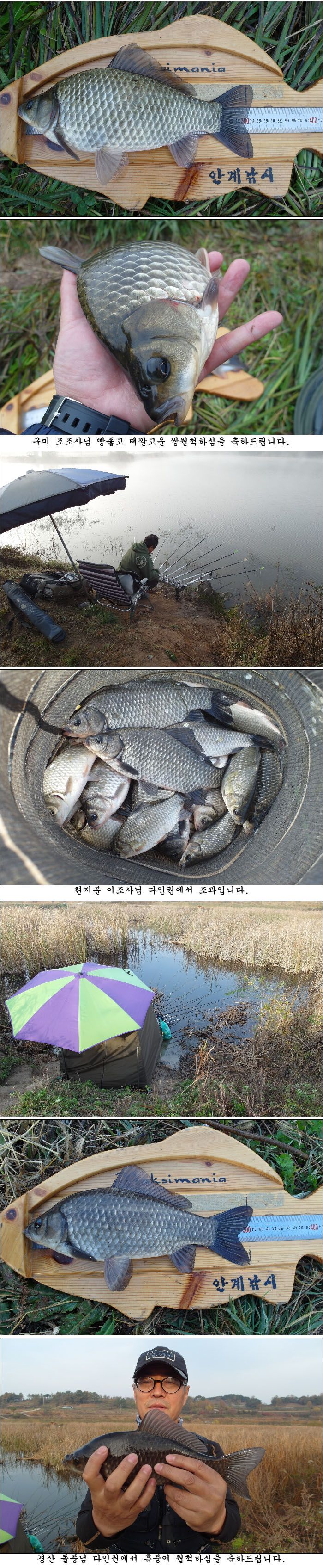 141106.jpg