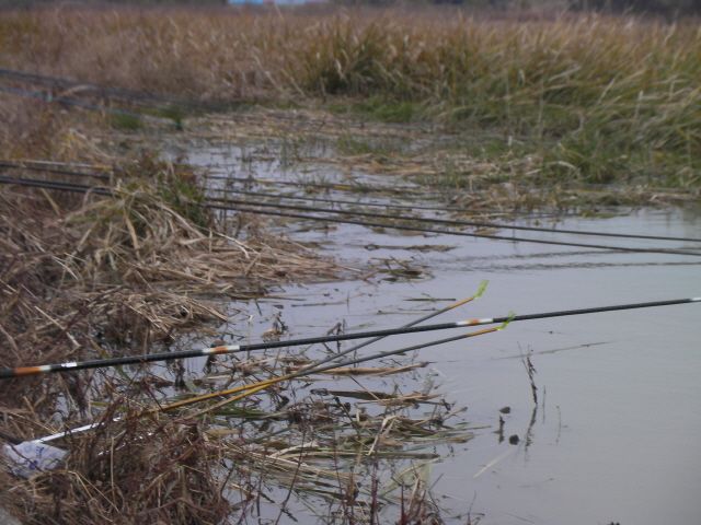 ũ⺯ȯ_SANY0027.JPG