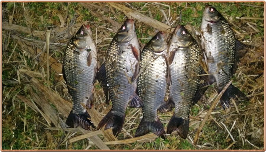 6032014-11-21 10.21.11.jpg