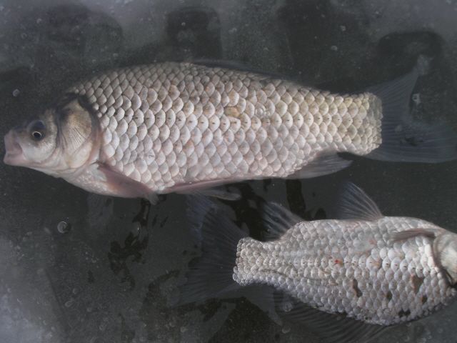 ũ�⺯ȯ_SANY0009.JPG