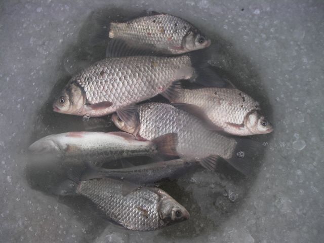 ũ�⺯ȯ_SANY0021.JPG