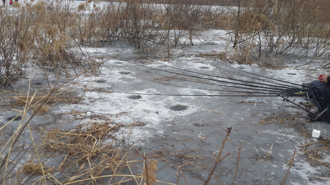 ���� 1207.jpg