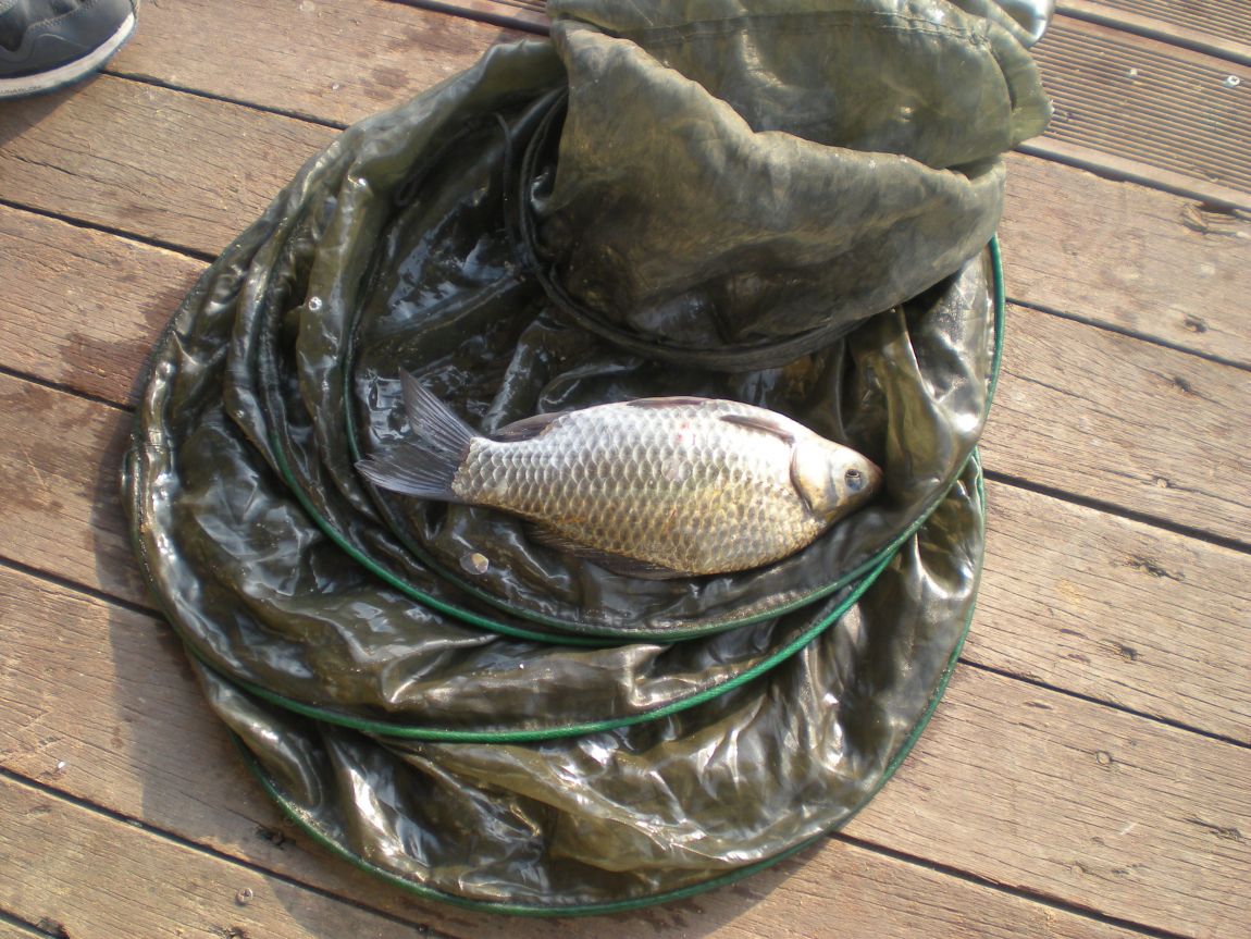 DSCN3239.JPG