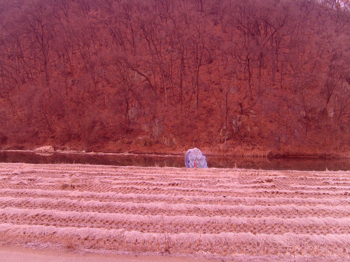 S7000688.JPG