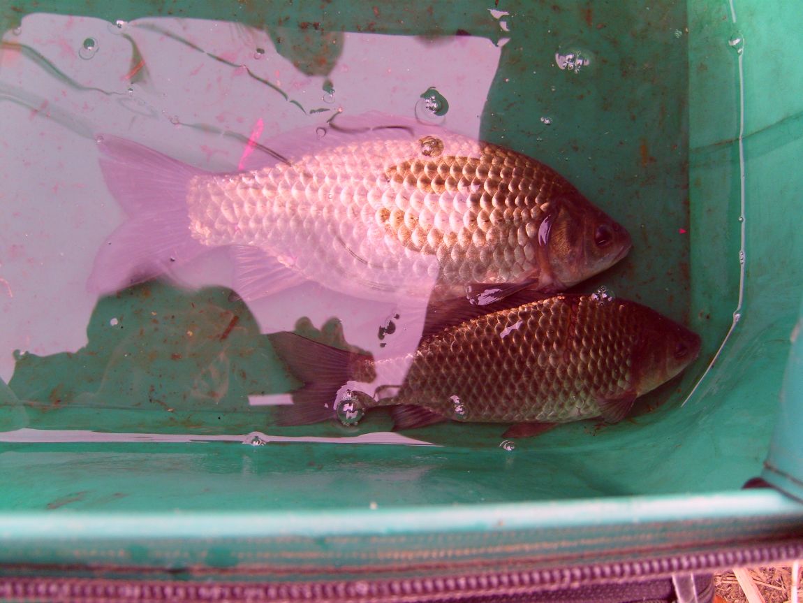S7000690.JPG