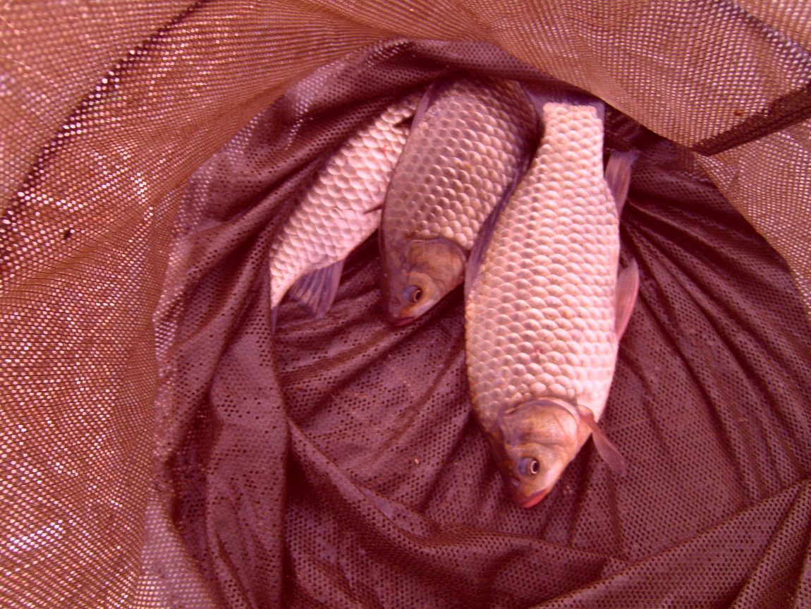 S7000693.JPG