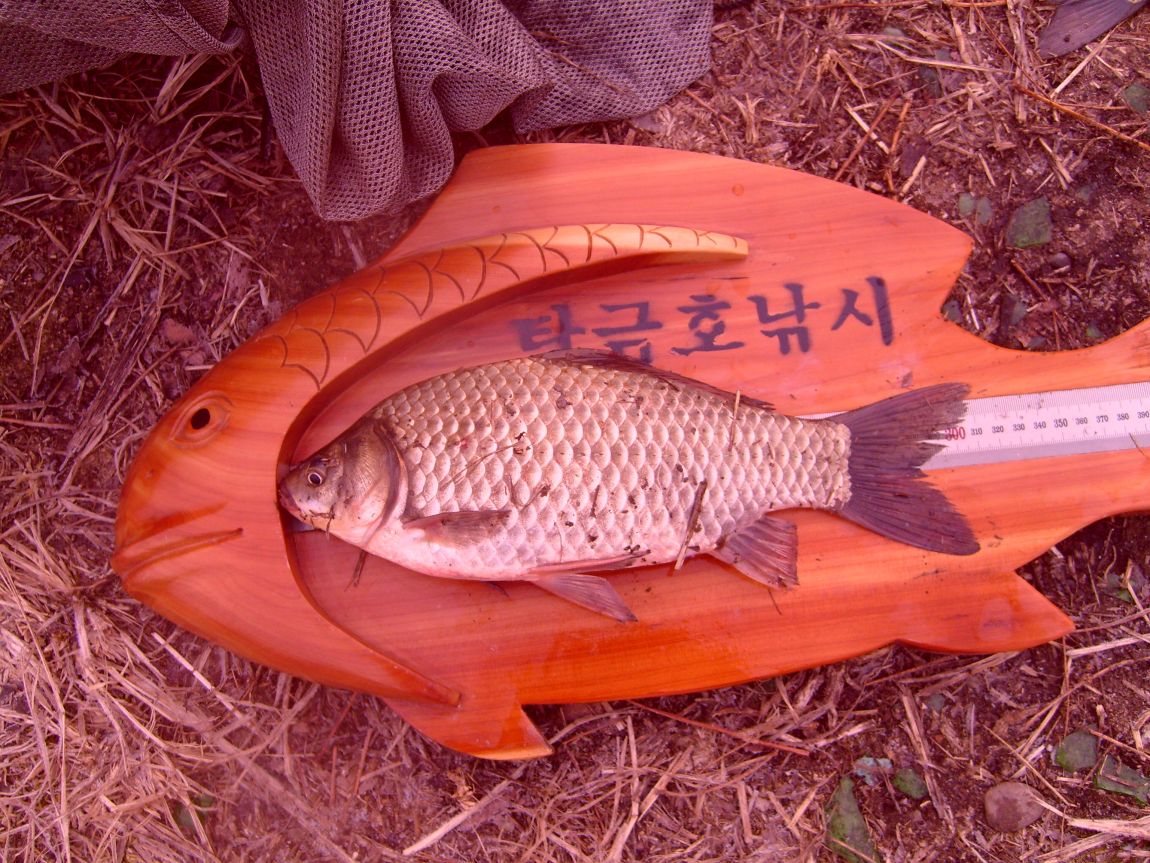 S7000694.JPG