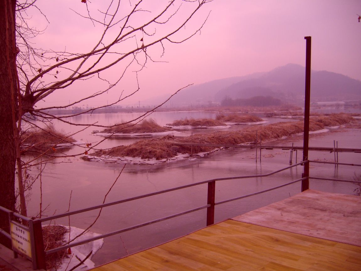 S7000696.JPG