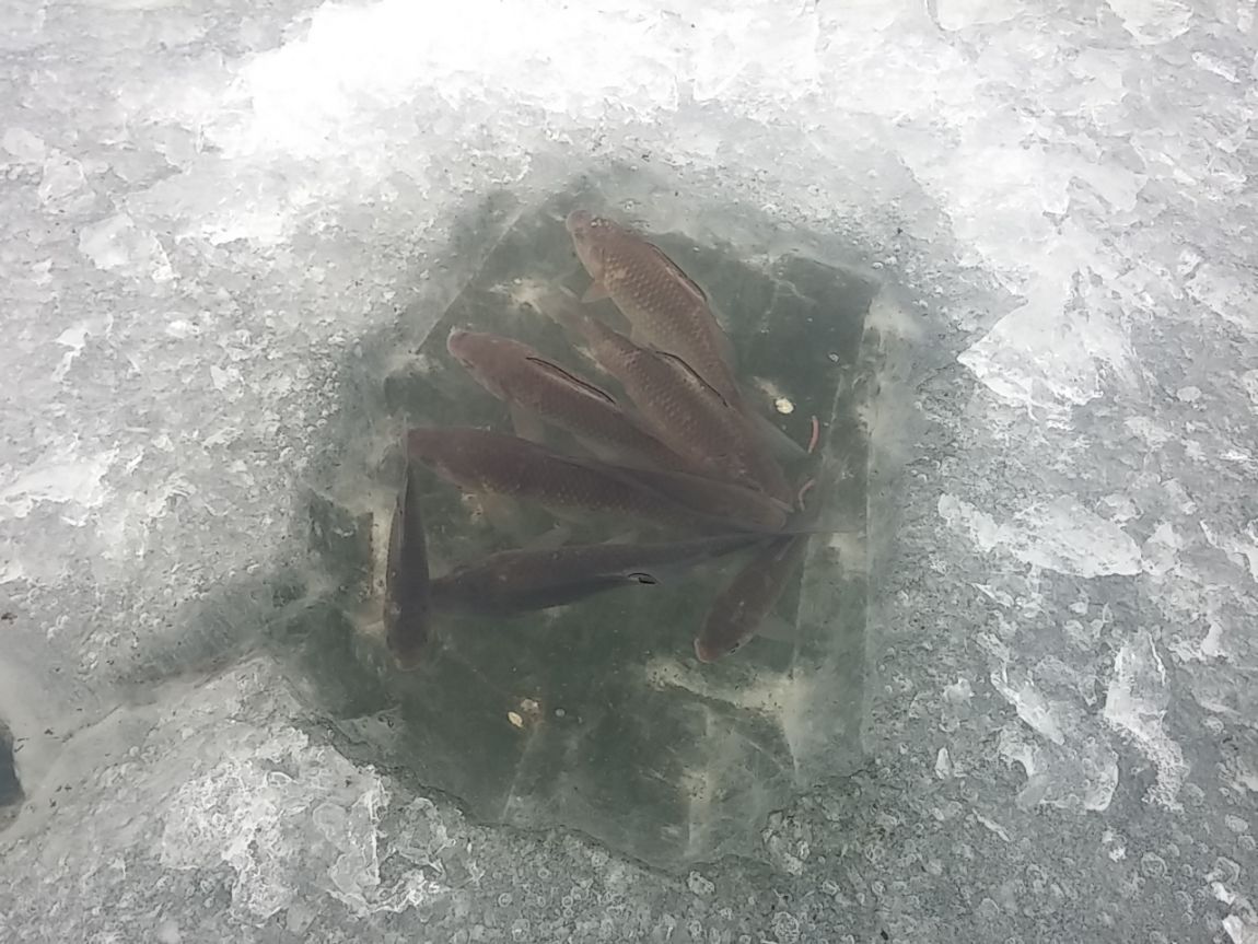 20150207_113505.jpg