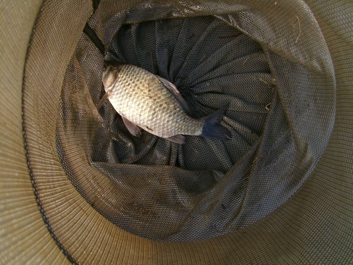 S7000736.JPG