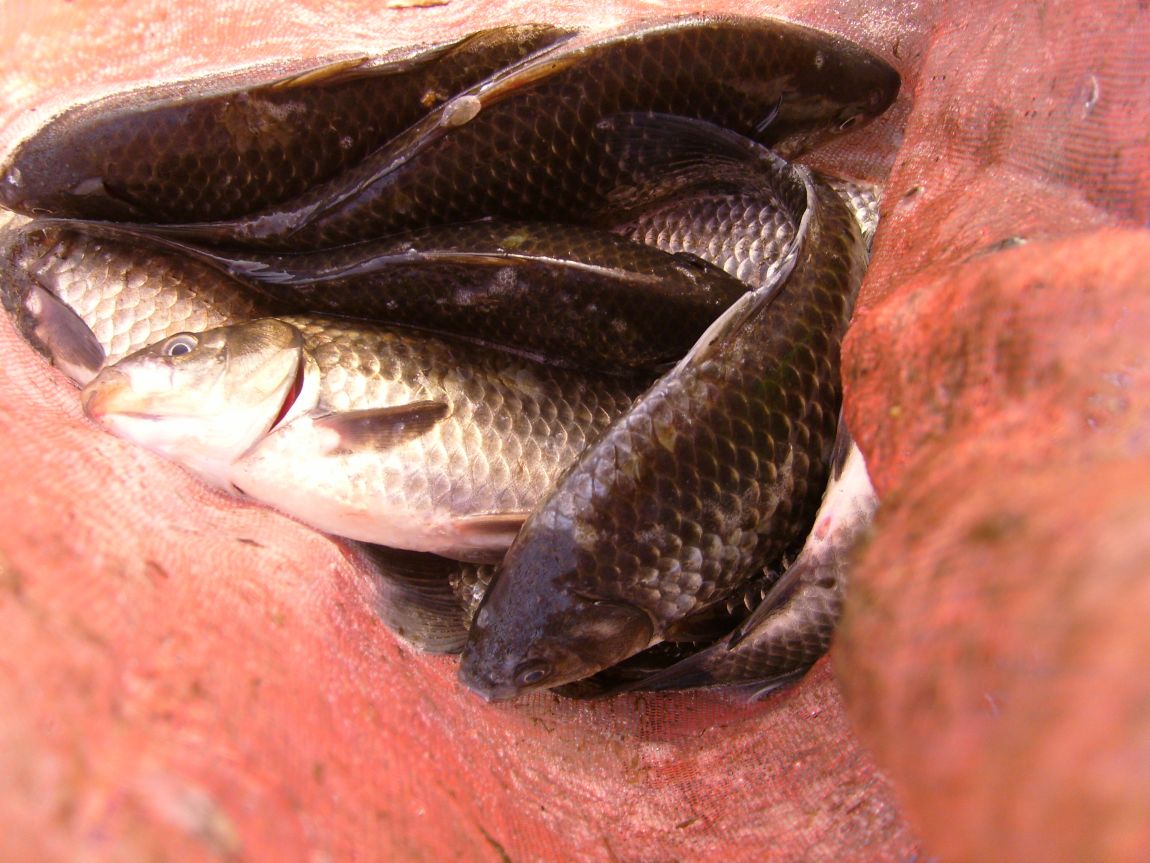 S7000734.JPG