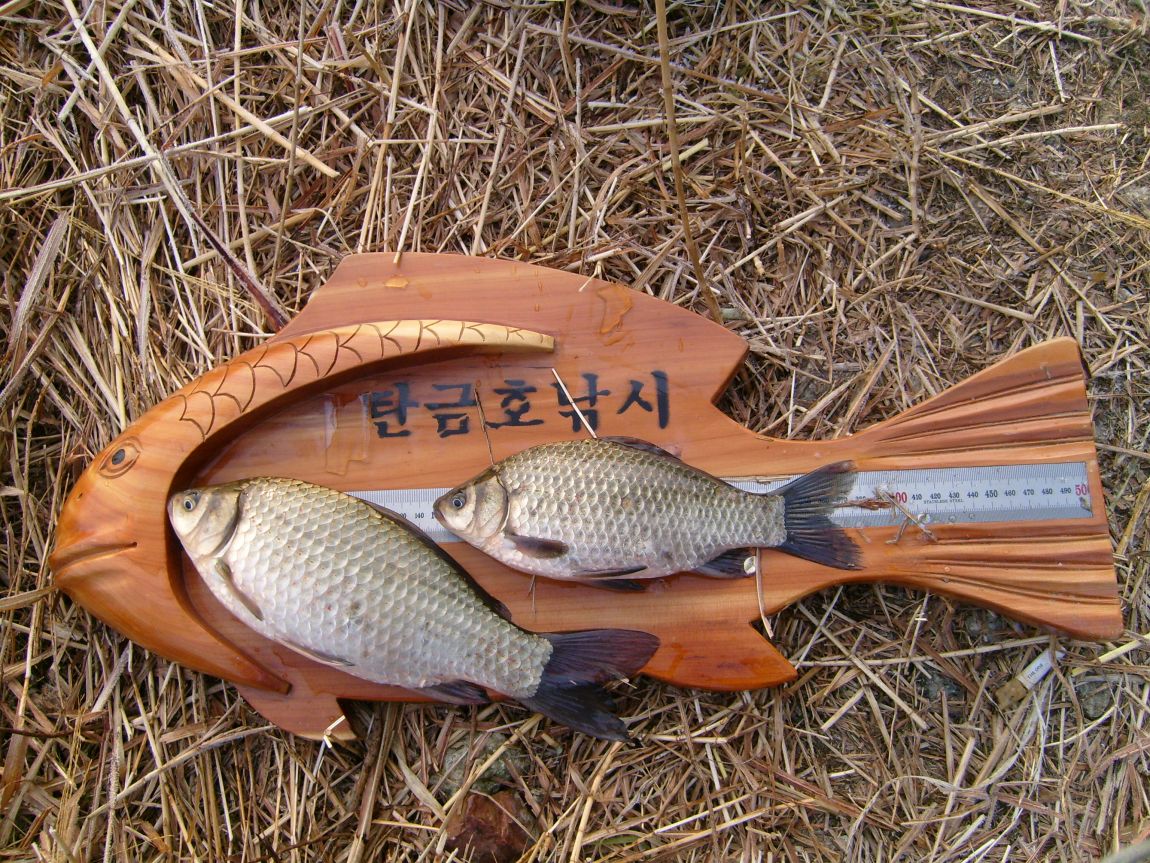 S7000728.JPG