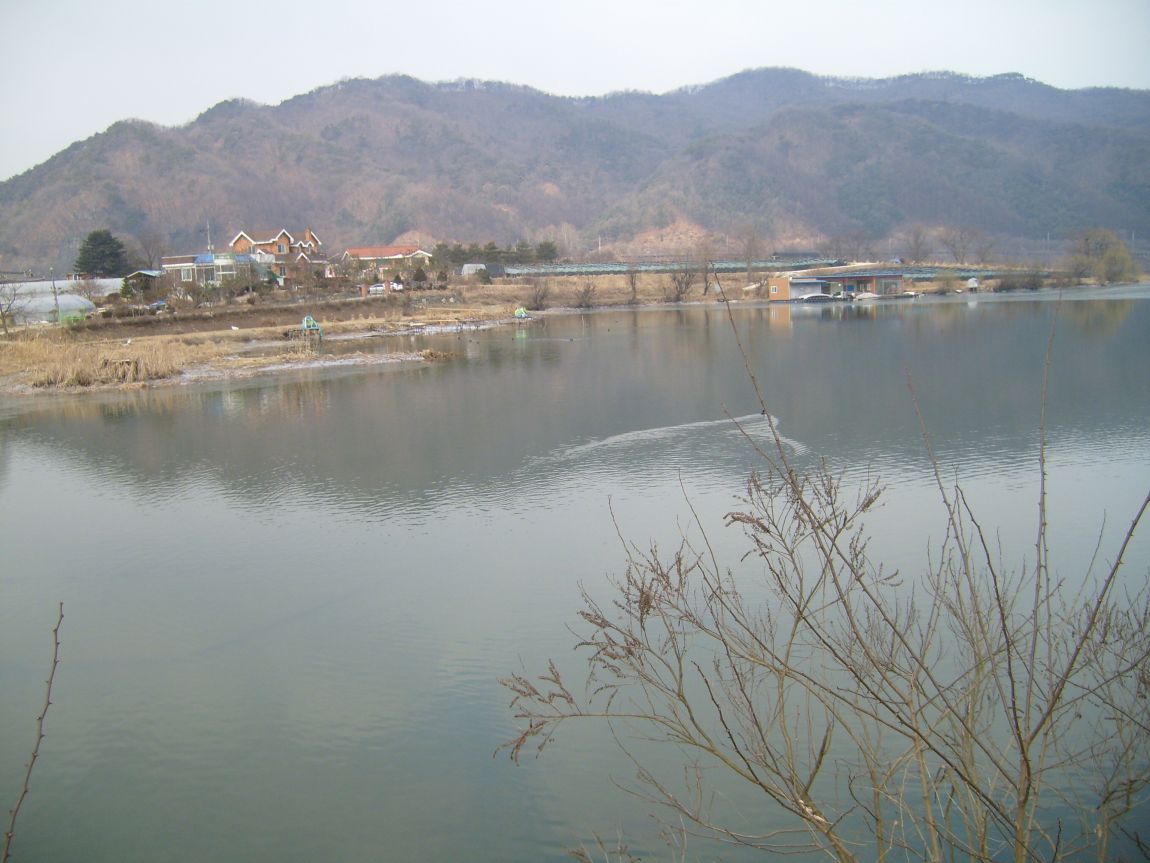S7000726.JPG