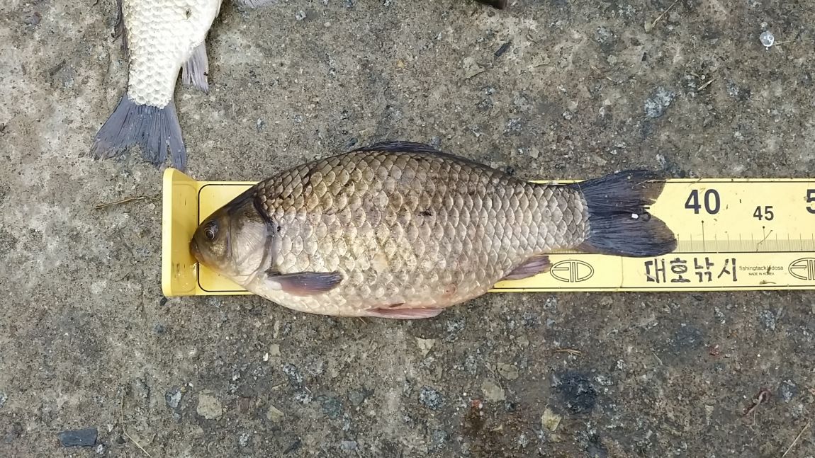 20150221_111455.jpg