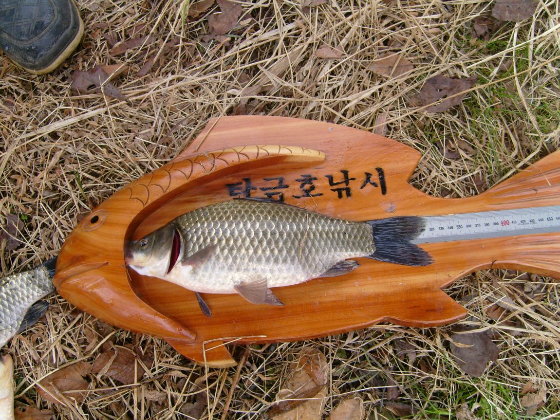 S7000862.JPG